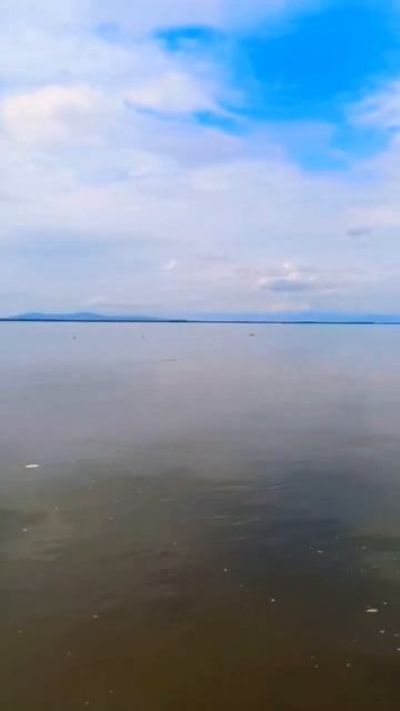 Рыбалка на Амуре сплавом.  Встреча с Амурский полозом.