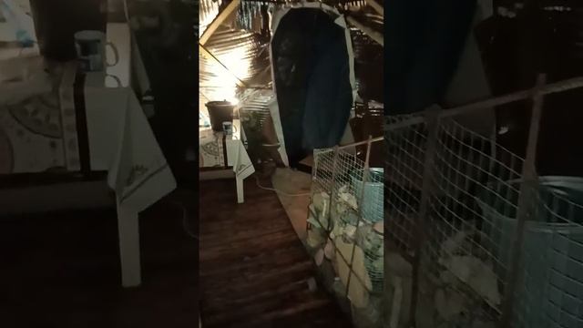 Баня недостроена, но париться хочется до чесотки