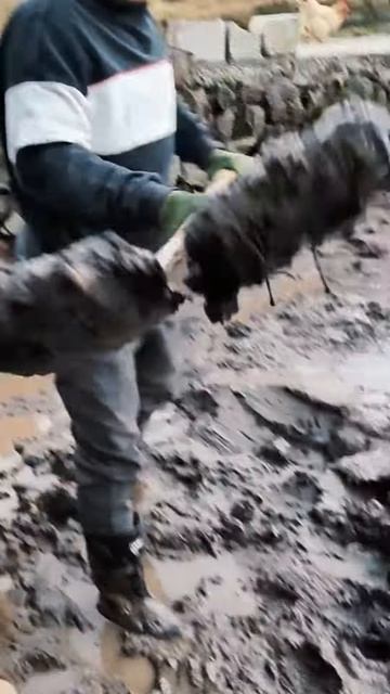 Use two shovels, so the job goes faster #shorts