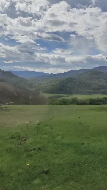 Посмотрите на эту красоту. Жизнь моими глазами