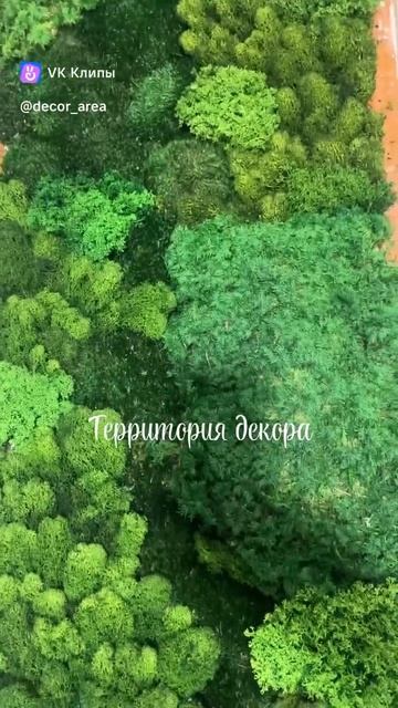 Панели из Мха для интерьера