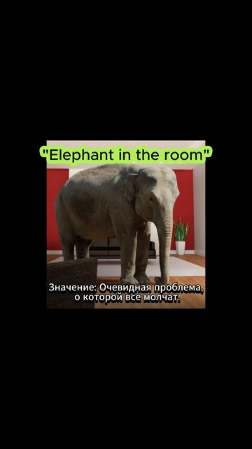 Популярные идиомы в английском языке. 1.
