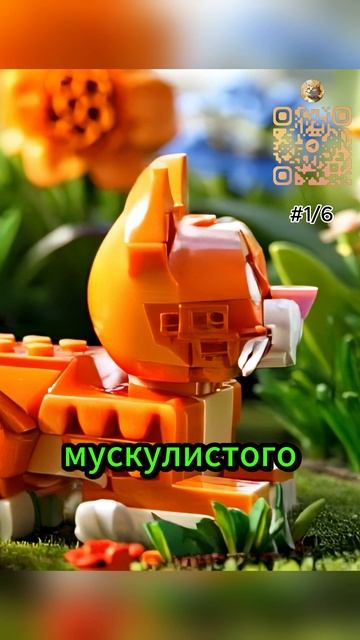 Когда твой кот весит больше, чем ты думал! 😱 12 кг пушистого удовольствия” #sherts  #котики #cat