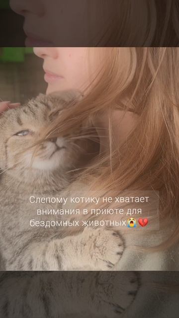 Джек, Джеки-Чан