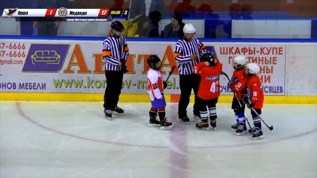 медведи 2010