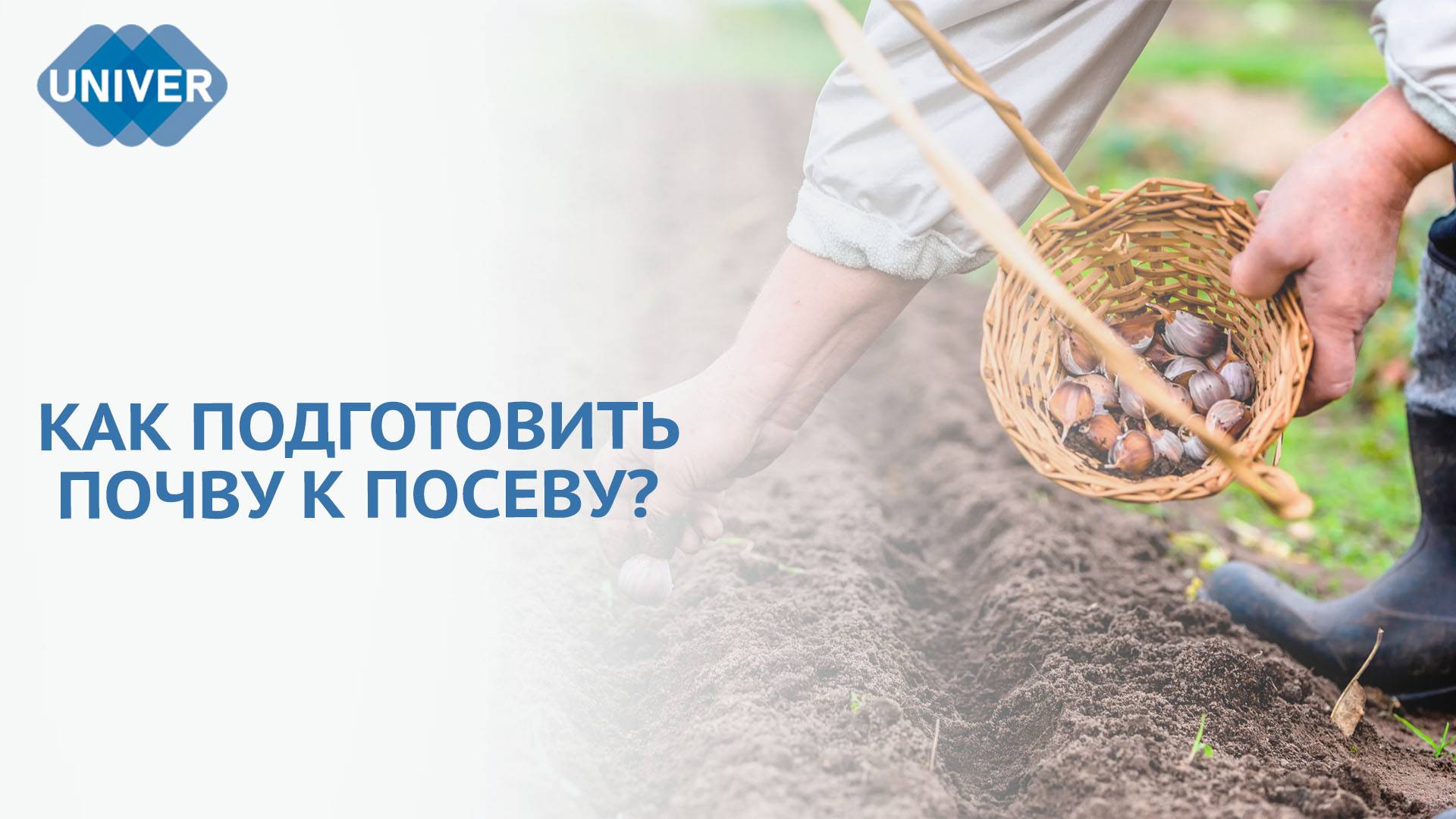 УРОЖАЙНЫЙ СЕЗОН: ГЛАВНЫЕ СОВЕТЫ ДЛЯ УСПЕШНОГО ОГОРОДНИЧЕСТВА