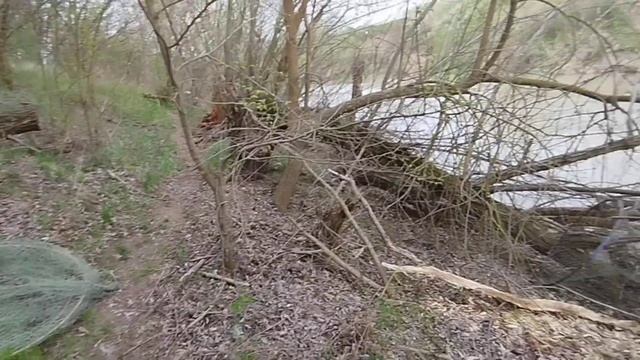 Говновоз и Золотая Рыбка: Неожиданный Клёв!🦈🦈🦈
