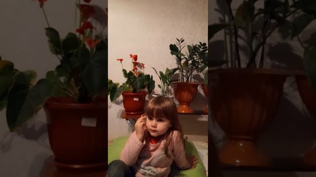 1000031457.mp4