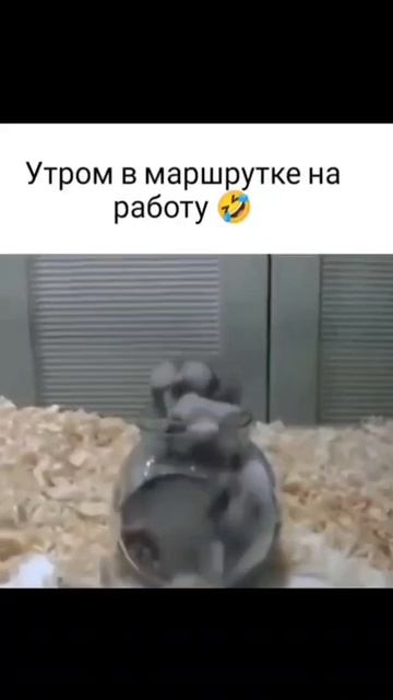 утром на  работу