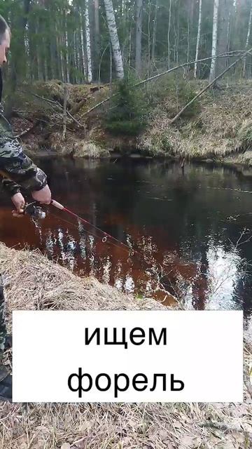 рыбалка в Карелии на форель