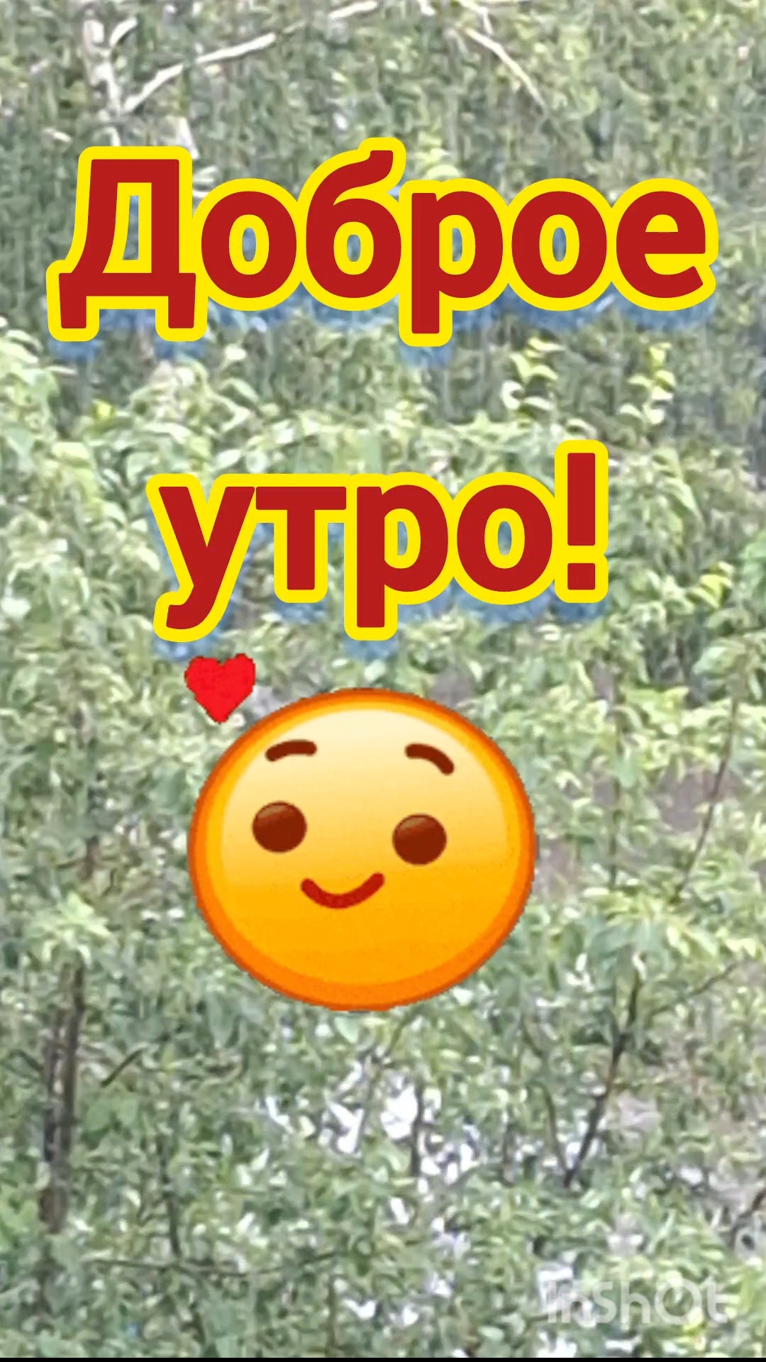 ДОБРОЕ УТРО!🌄 ПРЕКРАСНОГО НАСТРОЕНИЯ!🌞