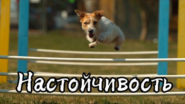 Мотивирующие цитаты и афоризмы