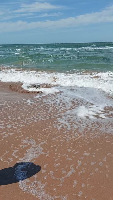 Я с бабушкой на море