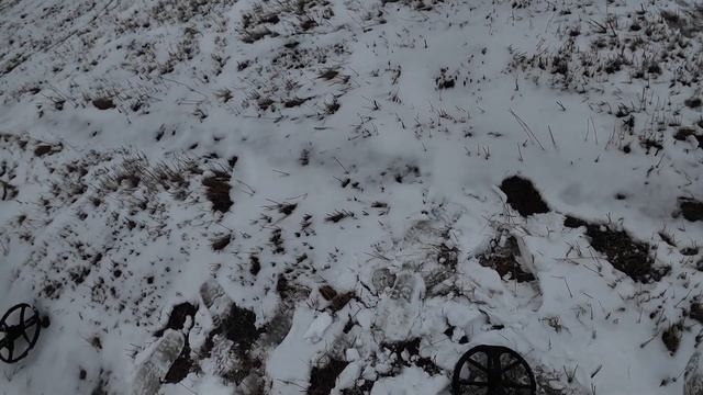 Коп советов 08 11 2017 (Minelab Equinox 900)