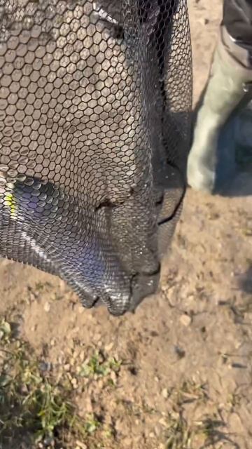 Поимка на резину #fishing #рыбалка #fish