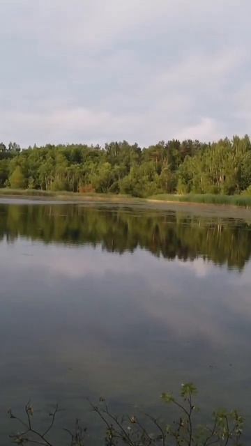 Ладога #рыбалка #природа #лодка