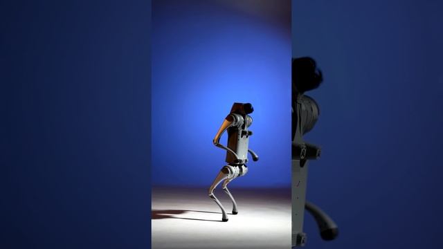 Робот собака (робособака) Unitree GO2 PRO