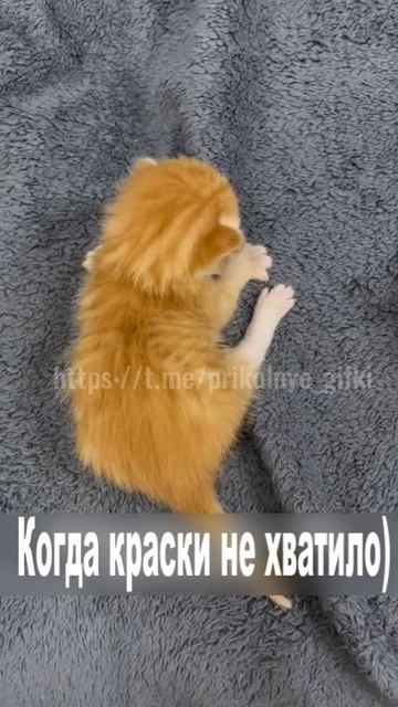 Когда краски не хватило)