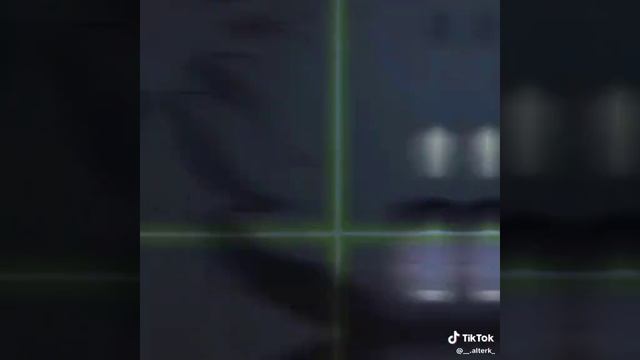 🌟остролистая🌟