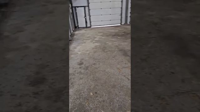 База обзор с музыкой