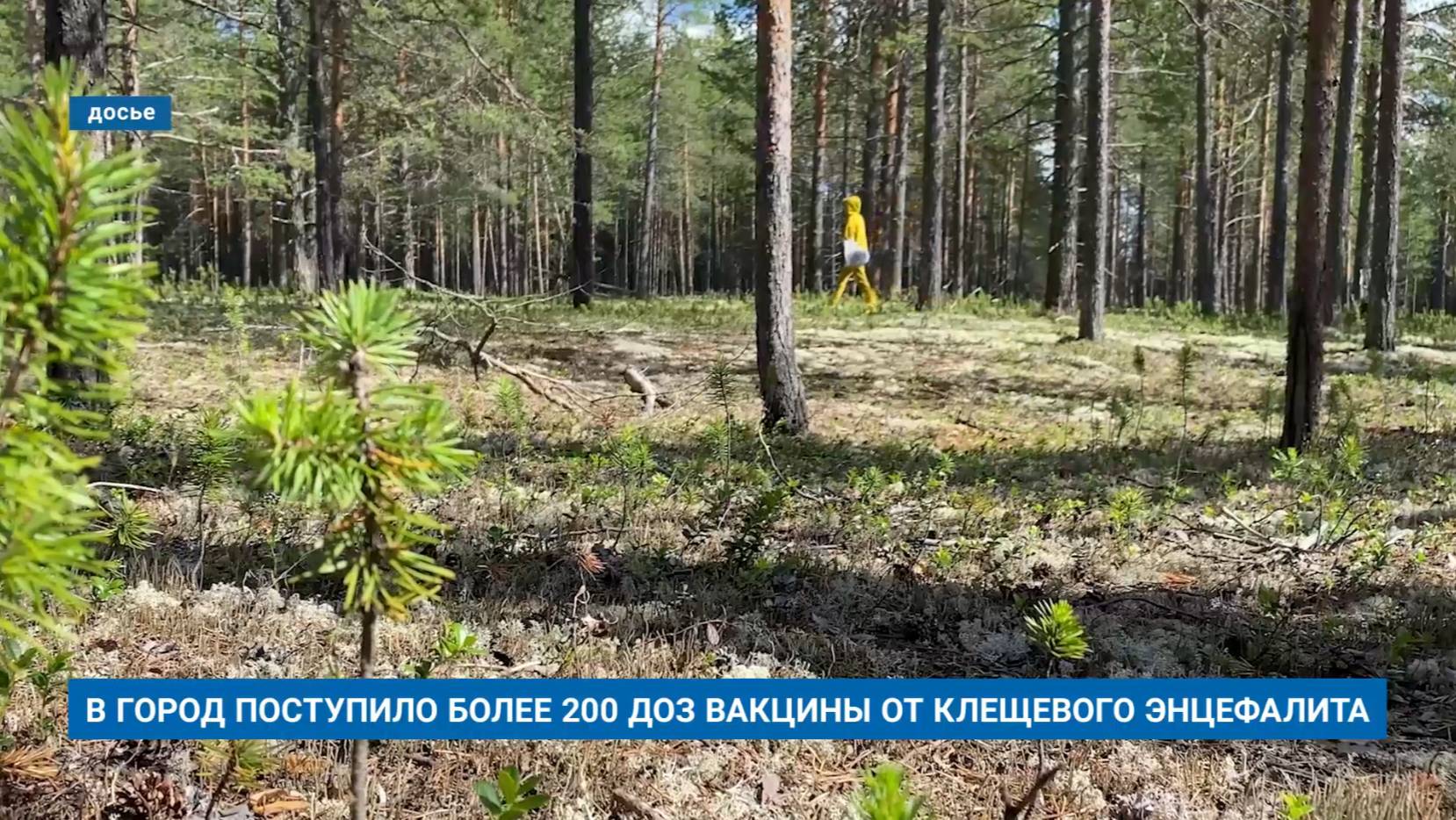 В ГОРОД ПОСТУПИЛО БОЛЕЕ 200 ДОЗ ВАКЦИНЫ ОТ КЛЕЩЕВОГО ЭНЦЕФАЛИТА