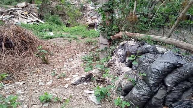 Наводим санитарный порядок в Гурзуфе!