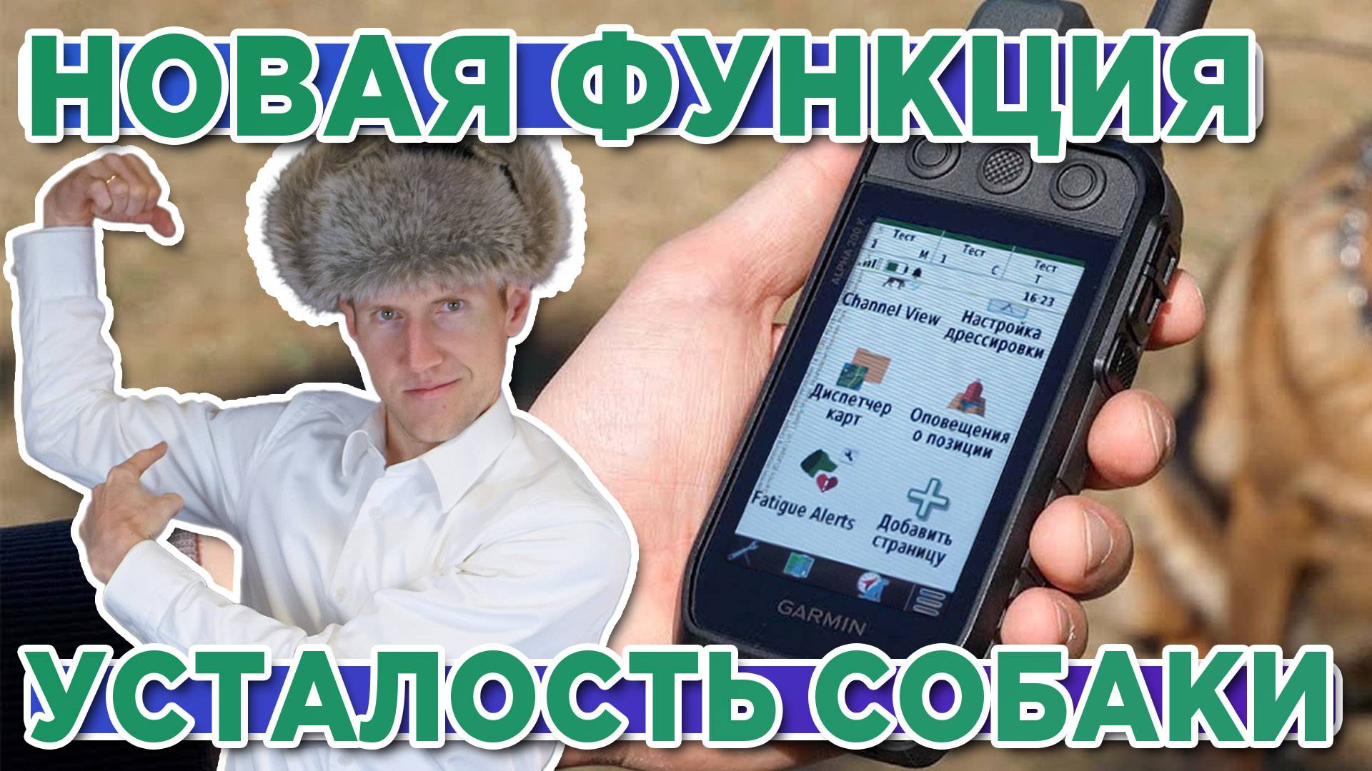 Новая функция охотничьих навигаторов Garmin Fatigue Alerts - усталость собаки
