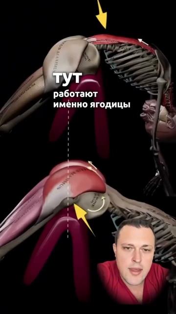 Как поднимать ягодицами а не спиной