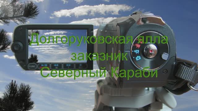 Долгоруковская ялла и заказник Северный Караби
