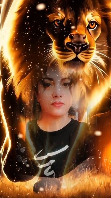 🐯🐯🐯🐯🐯