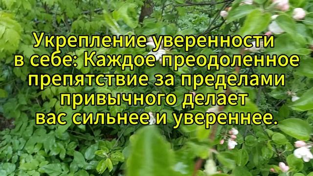 Зачем нужно хвалить себя