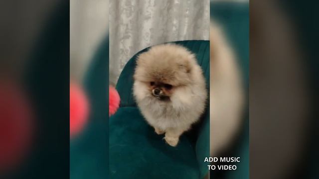Бусинка
