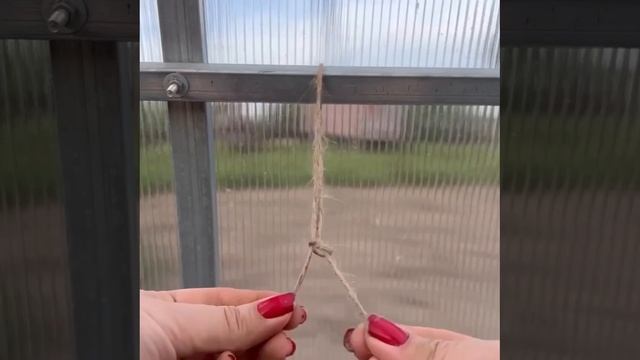 Петелька для подвязки рассады