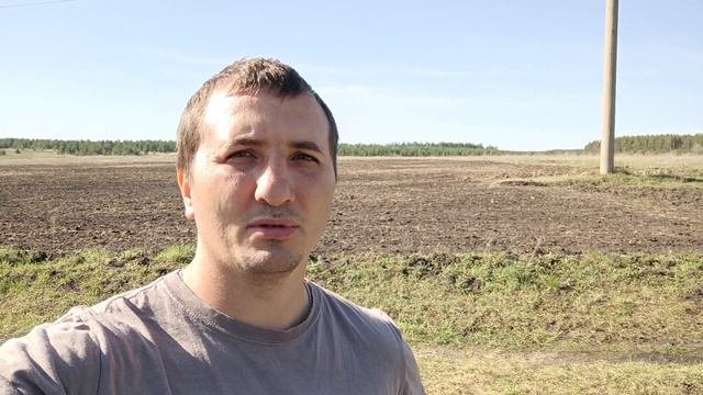 Посадили 1 тонну чеснока !!! Финал
