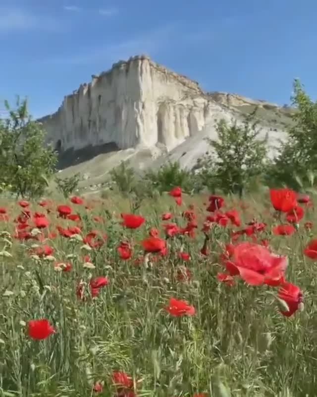 Загляните за кулисы SMM! Сегодня снимаю контент для нового проекта. 🎬🔥 Будет интересно! #SMM