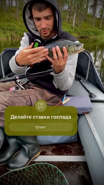 Большой окунь на спиннинг с лодки с глубины Карельско?