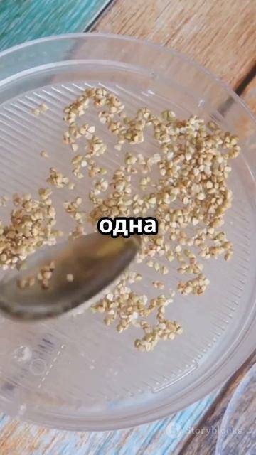 Как приготовить идеальную гречку: пошаговый рецепт #ani