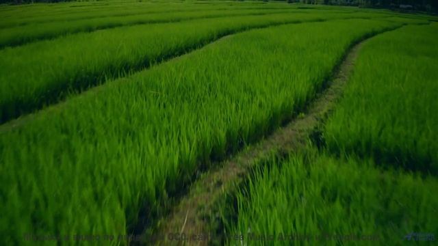 Этот саундтрек - как путешествие в зимнюю сказку! - eRHoLuNG -- Phillip Gross -- HoLiDaYS