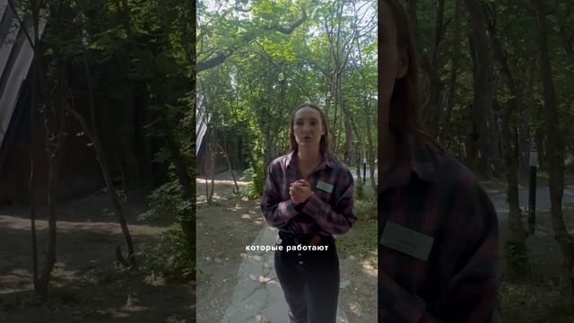 Один из первых эко-отелей в России — SCALA Kabardinka