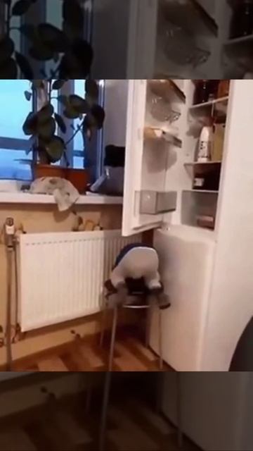 Открыть холодильник со стулом