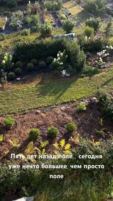 Ландшафтный дизайн своими руками и не по науке, а по уд