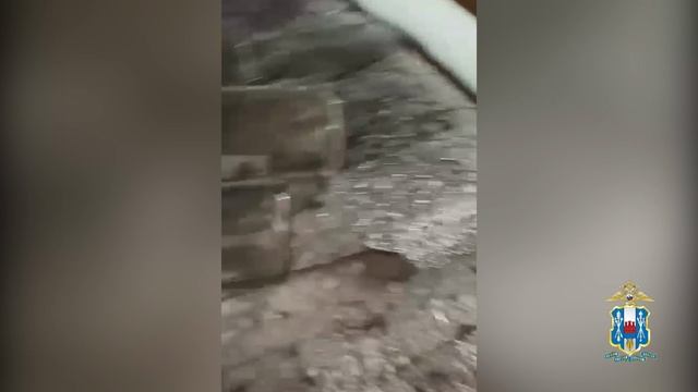 В Ростовской области полицейские ликвидировали цех по производству водки, виски и коньяка