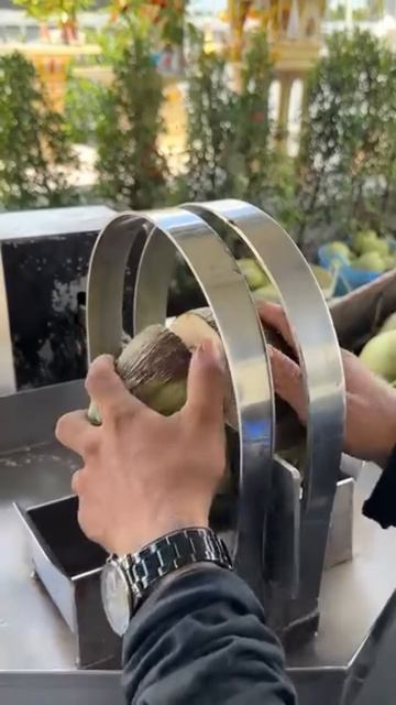 The process of splitting a coconut into two parts #shorts