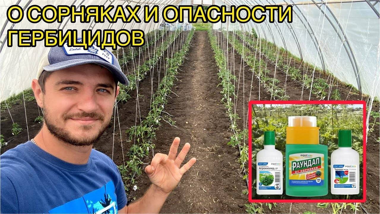 🌱❌ ПОЧЕМУ У НАС НЕТ ТРАВЫ НА УЧАСТКЕ? ОТВЕЧАЮ НА ВОПРОСЫ О СОПЕРНИКАХ ПО САДОВОДСТВУ И ГЕРБИЦИДАХ ❌