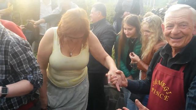 Праздник сбора винограда на Закарпатье-2016