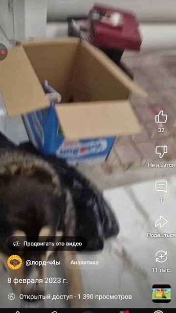 1000029590.mp4