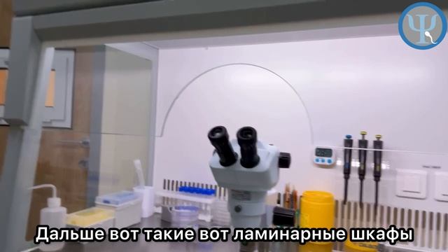 Лаб