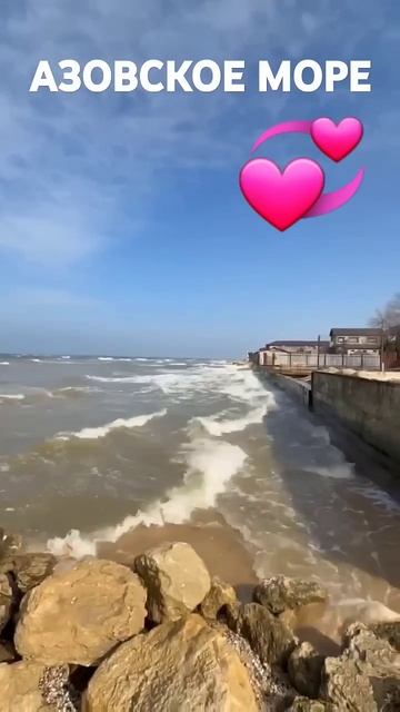 А на море белый песок, дует теплый ветер в лицо. #Голуби
