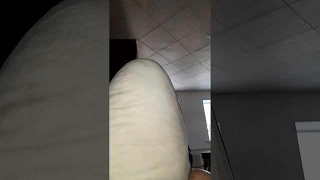 как ловить белою акулу часть 2