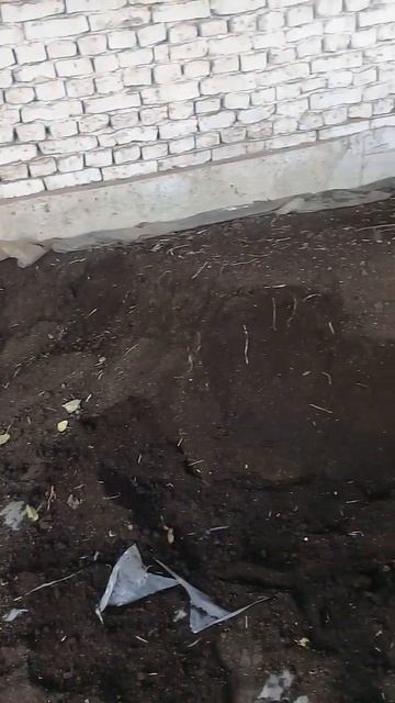 био гомус сотилади +99890_253_33_38